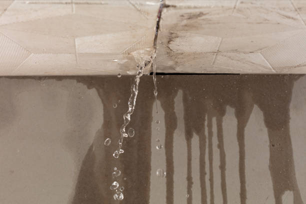 Professional Water Damage Inspection technician working in Beaverton, MI